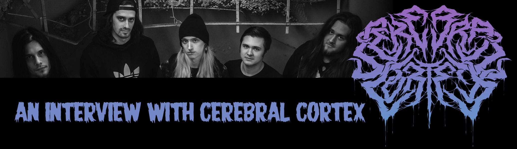 Cerebral Cortex interview