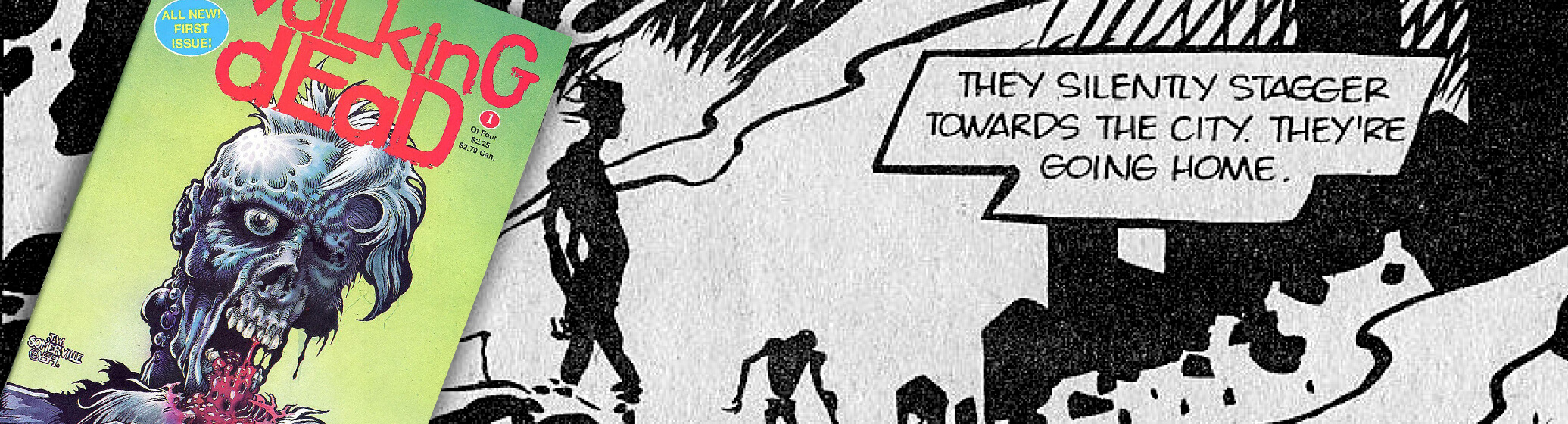 Dead Meat Presents: The Aircel Walking Dead comic from 1989